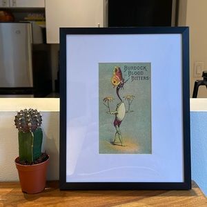 Vintage Butterfly Balancing Frog Print - Burdock Blood Bitters - Buffalo, NY